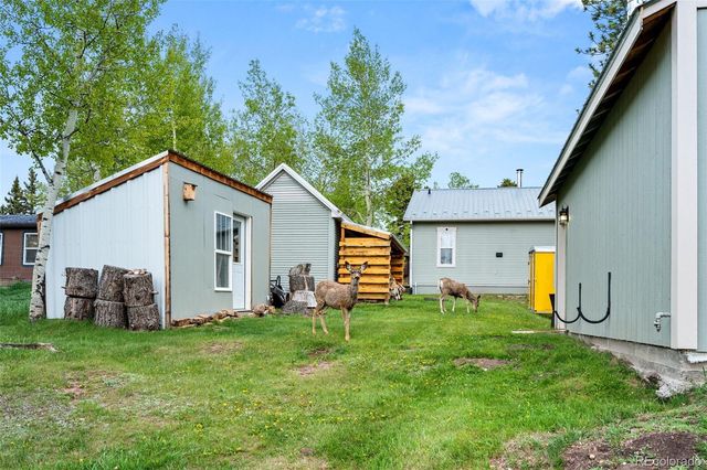 33 Maid Marian Drive, Divide, CO 80814