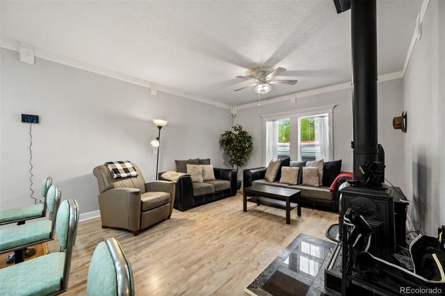 33 Maid Marian Drive, Divide, CO 80814