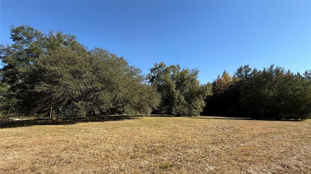 16508 NW 192ND PLACE, Williston, FL 32696