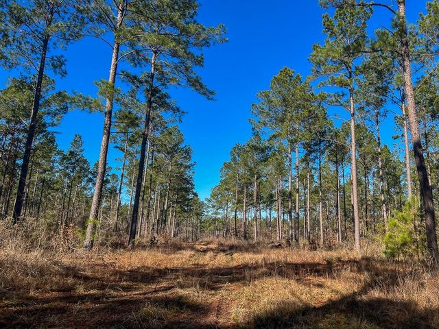 3 Louisville Road, Pennington, TX 75845