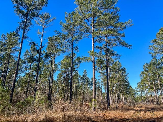 3 Louisville Road, Pennington, TX 75845