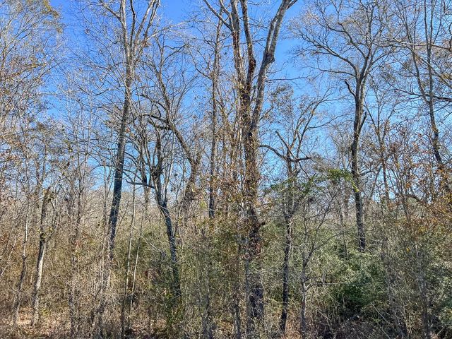 3 Louisville Road, Pennington, TX 75845