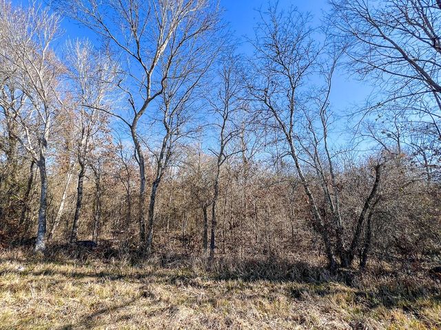 3 Louisville Road, Pennington, TX 75845