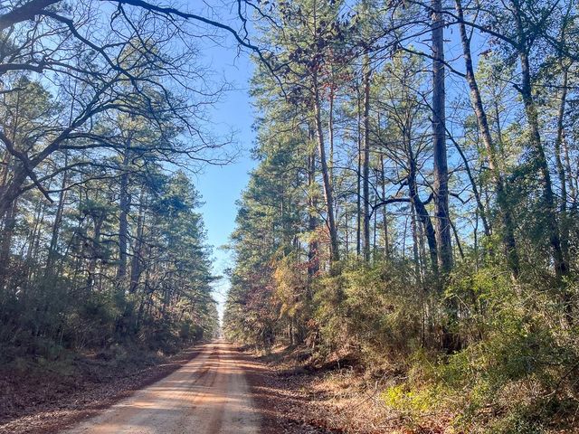 3 Louisville Road, Pennington, TX 75845