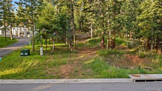 8125 Bannock Drive, Larkspur, CO 80118