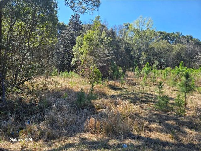 9641 Highway 188, Irvington, AL 36544