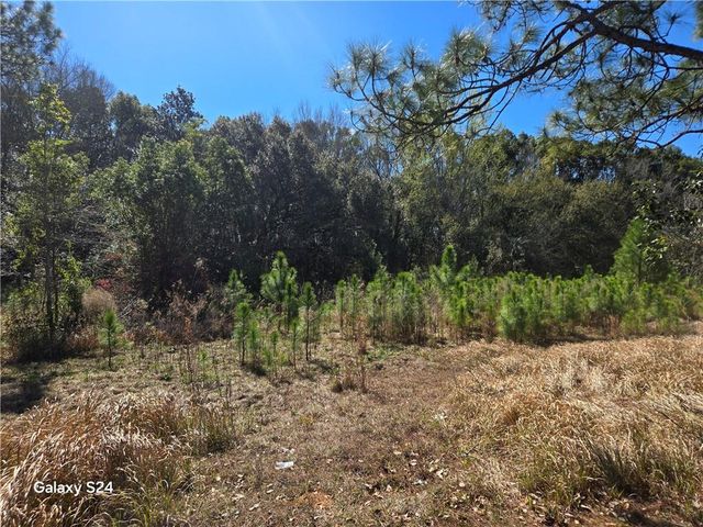 9641 Highway 188, Irvington, AL 36544