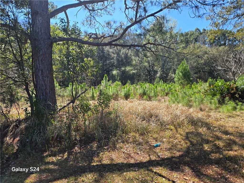 9641 Highway 188, Irvington, AL 36544 — photo 4