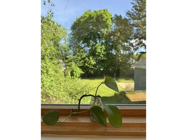 174 Lyman Avenue, Burlington, VT 05401