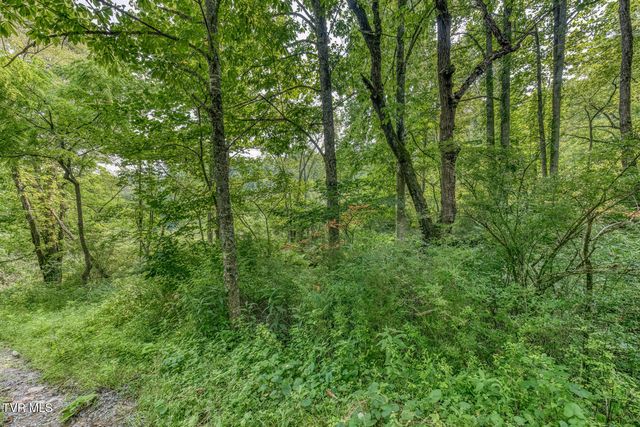 119 Alice Johnson Road 119, Roan Mountain, TN 37687