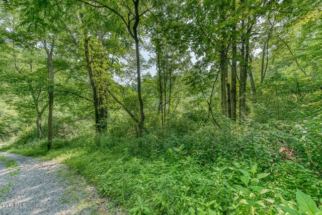 119 Alice Johnson Road 119, Roan Mountain, TN 37687
