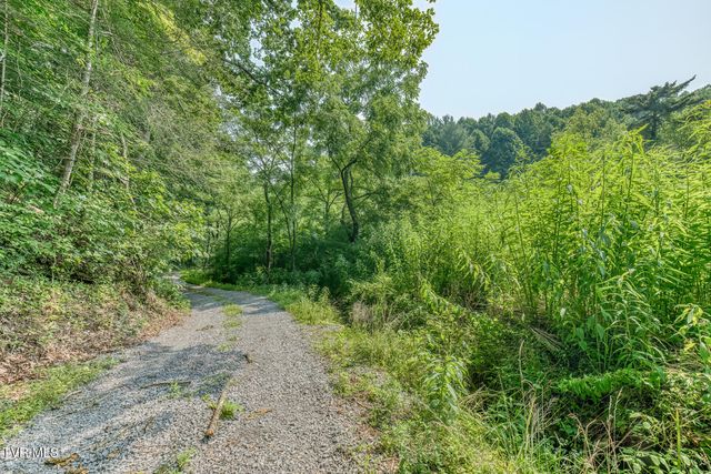 119 Alice Johnson Road 119, Roan Mountain, TN 37687
