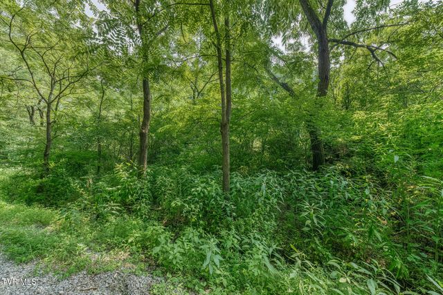 119 Alice Johnson Road 119, Roan Mountain, TN 37687