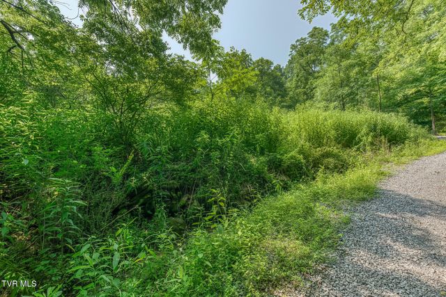 119 Alice Johnson Road 119, Roan Mountain, TN 37687