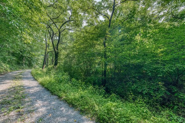 119 Alice Johnson Road 119, Roan Mountain, TN 37687