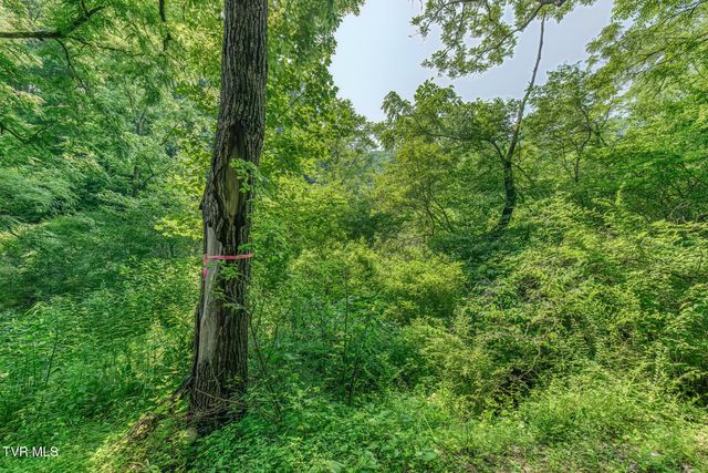 119 Alice Johnson Road 119, Roan Mountain, TN 37687
