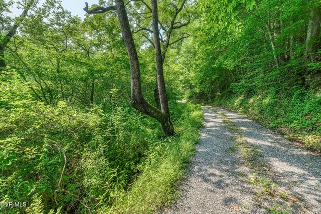 119 Alice Johnson Road 119, Roan Mountain, TN 37687