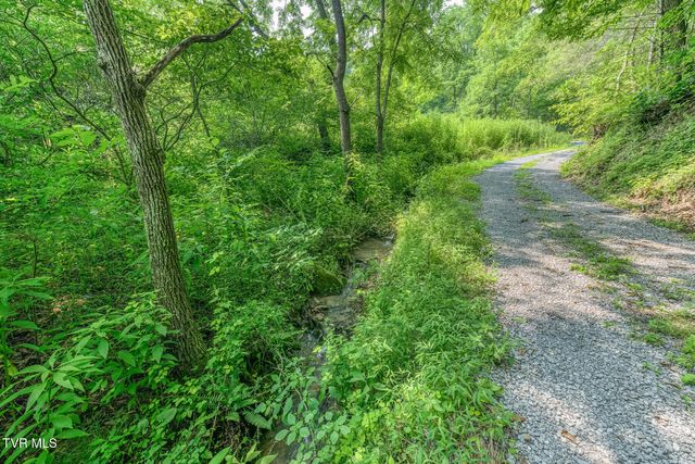 119 Alice Johnson Road 119, Roan Mountain, TN 37687