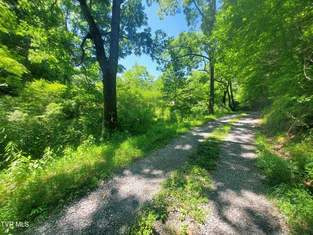 119 Alice Johnson Road 119, Roan Mountain, TN 37687