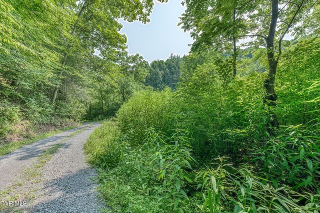 119 Alice Johnson Road 119, Roan Mountain, TN 37687