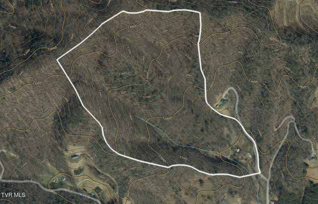 119 Alice Johnson Road 119, Roan Mountain, TN 37687