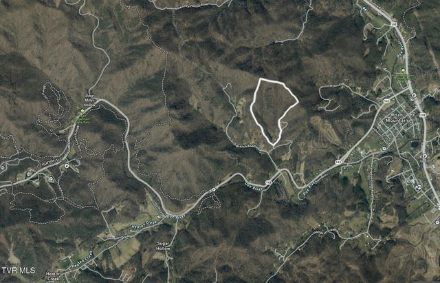 119 Alice Johnson Road 119, Roan Mountain, TN 37687