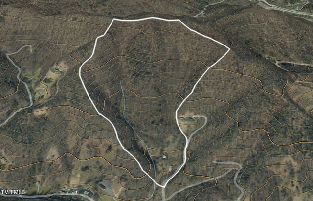 119 Alice Johnson Road 119, Roan Mountain, TN 37687