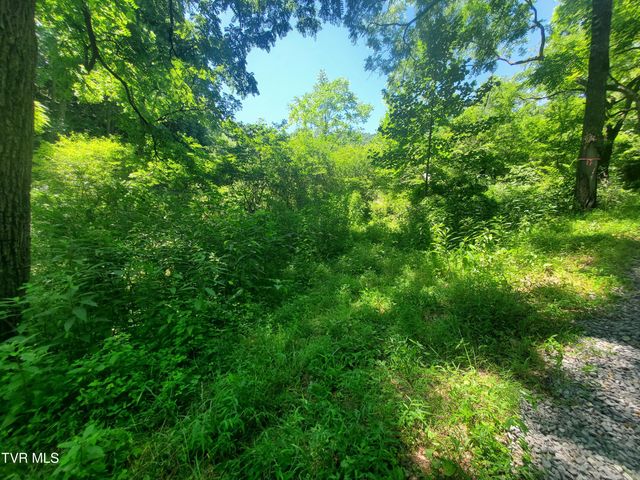 119 Alice Johnson Road 119, Roan Mountain, TN 37687