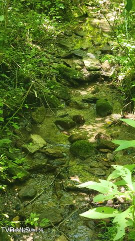 119 Alice Johnson Road 119, Roan Mountain, TN 37687