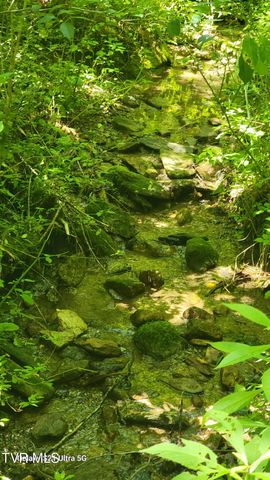 119 Alice Johnson Road 119, Roan Mountain, TN 37687