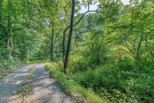 119 Alice Johnson Road 119, Roan Mountain, TN 37687