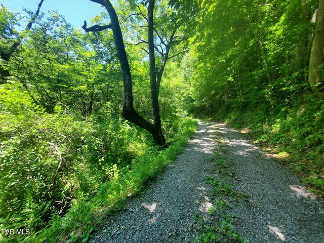 119 Alice Johnson Road 119, Roan Mountain, TN 37687