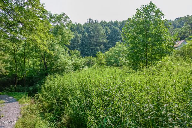 119 Alice Johnson Road 119, Roan Mountain, TN 37687