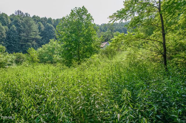 119 Alice Johnson Road 119, Roan Mountain, TN 37687