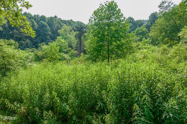 119 Alice Johnson Road 119, Roan Mountain, TN 37687