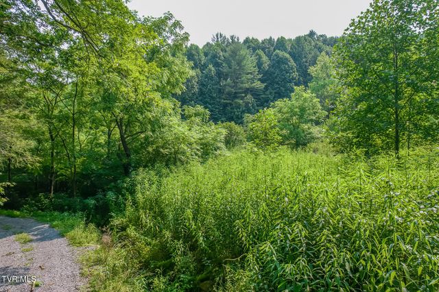 119 Alice Johnson Road 119, Roan Mountain, TN 37687