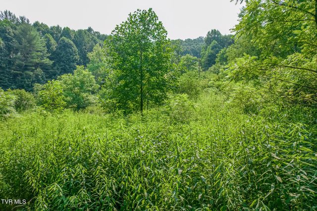 119 Alice Johnson Road 119, Roan Mountain, TN 37687