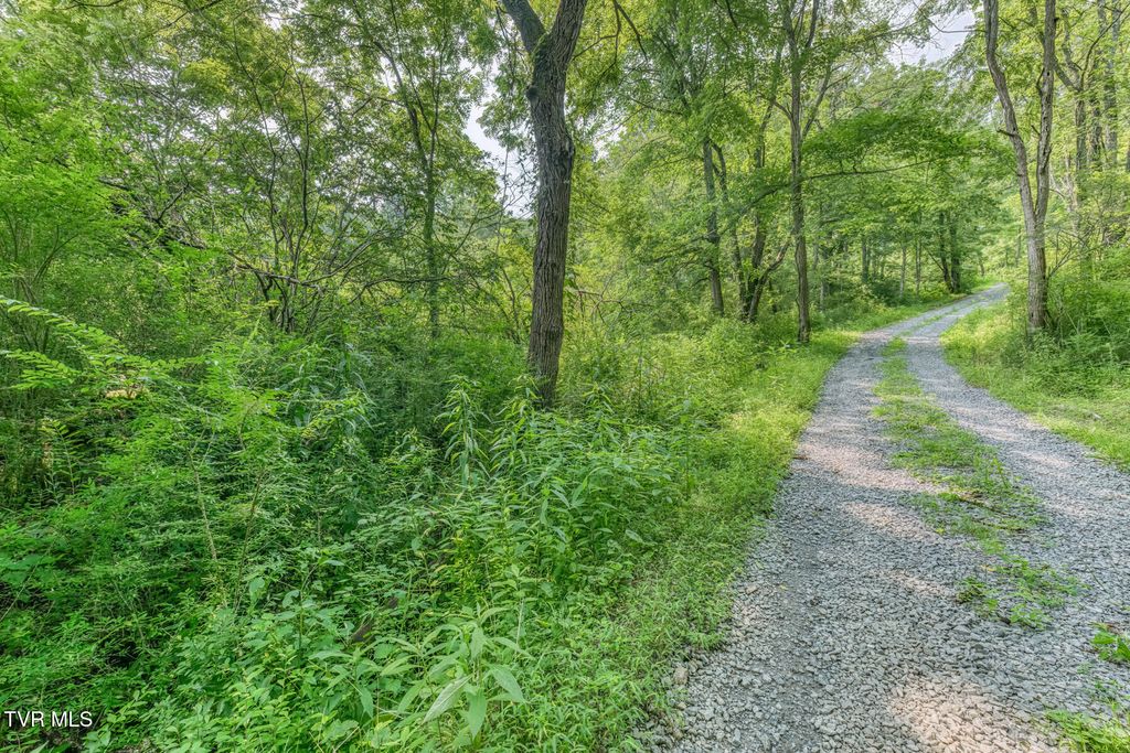 119 Alice Johnson Road 119, Roan Mountain, TN 37687