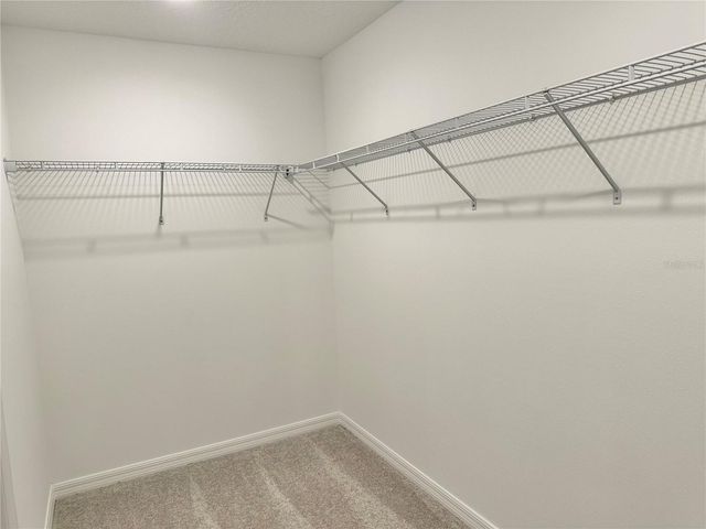 8842 DUSTY LANE, New Port Richey, FL 34655