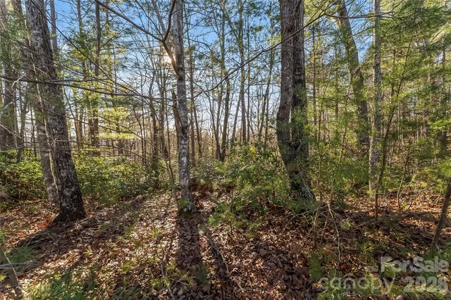 961 High Trail Drive 35-11, Nebo, NC 28761