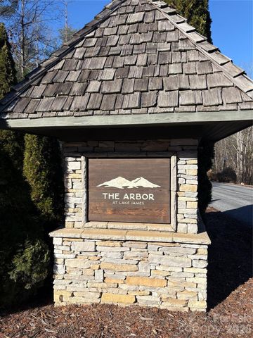 961 High Trail Drive 35-11, Nebo, NC 28761