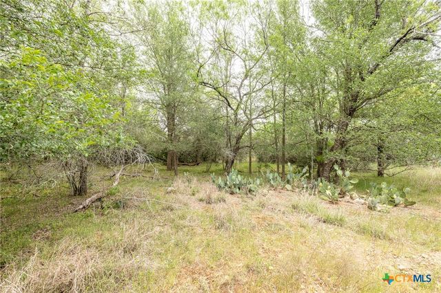 TBD County Road 238, Gonzales, TX 78629