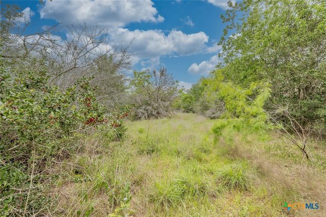 TBD County Road 238, Gonzales, TX 78629