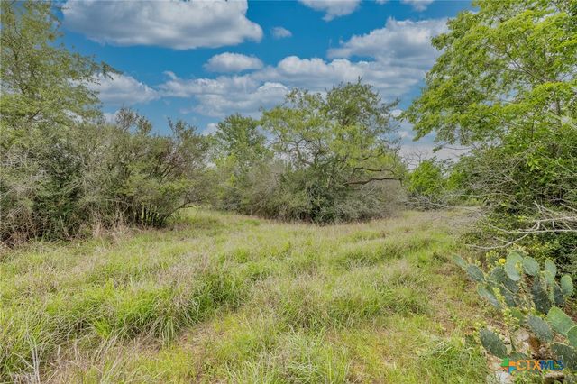 TBD County Road 238, Gonzales, TX 78629
