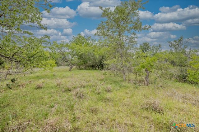 TBD County Road 238, Gonzales, TX 78629