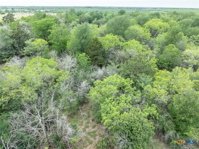 TBD County Road 238, Gonzales, TX 78629