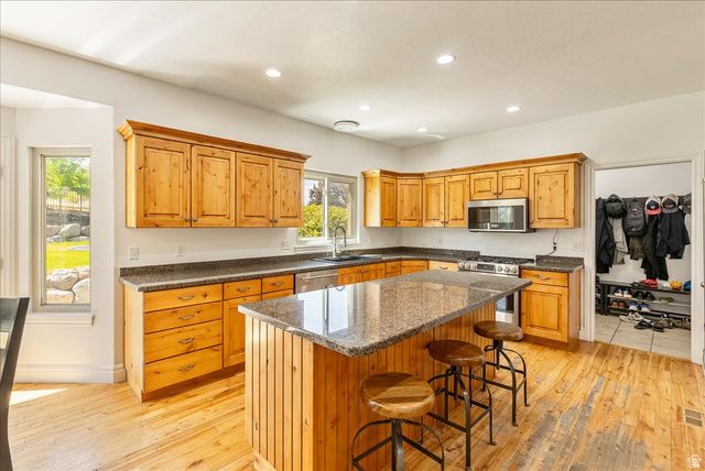 1079 STONE FLY DR, Bluffdale, UT 84065