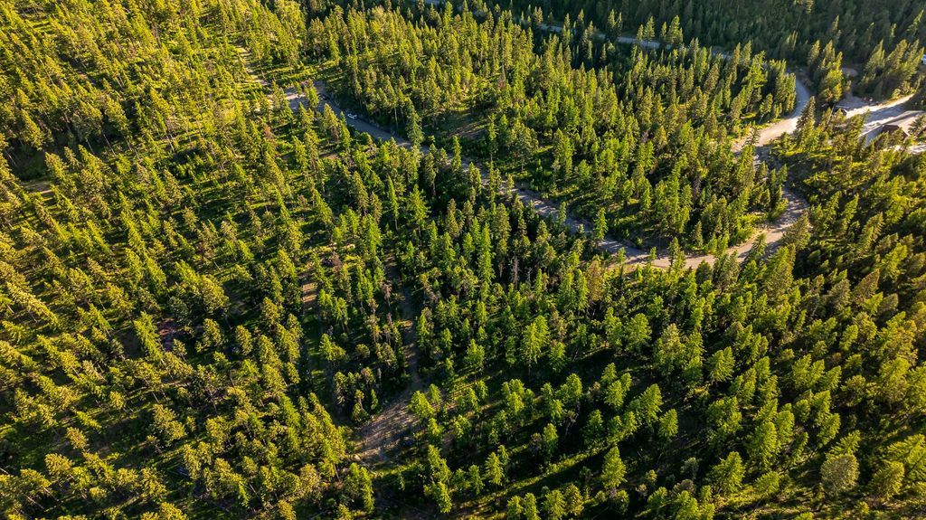 300 Salish Mountains Drive, Whitefish, MT 59937 photo 57