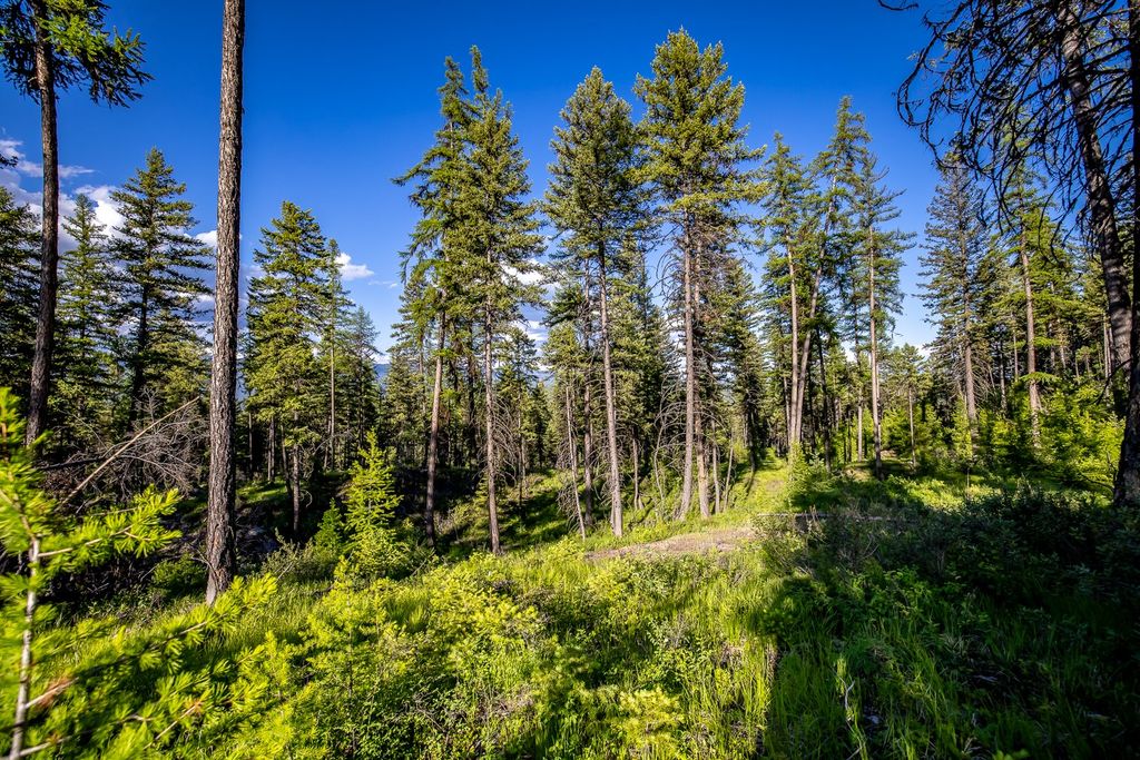 300 Salish Mountains Drive, Whitefish, MT 59937 photo 68