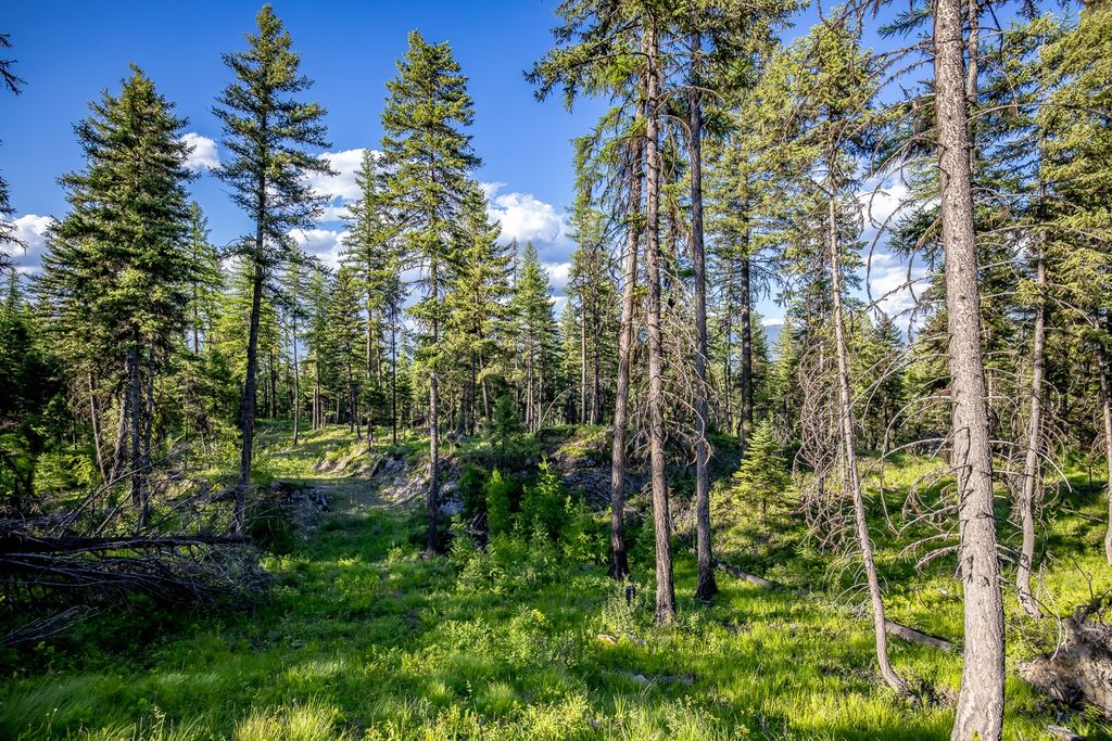 300 Salish Mountains Drive, Whitefish, MT 59937 photo 69